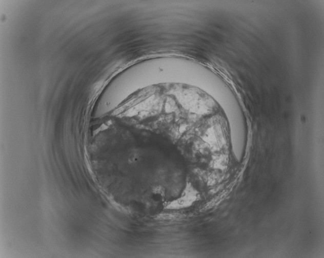 X0000064770145200603131442