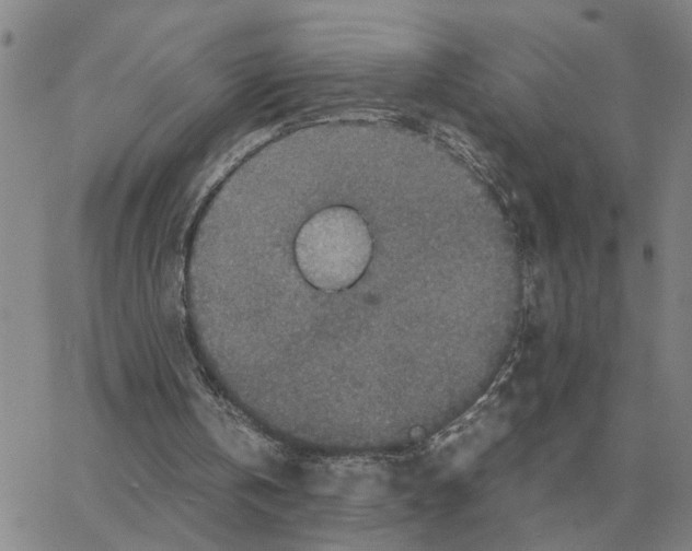 X0000064770146200603131442