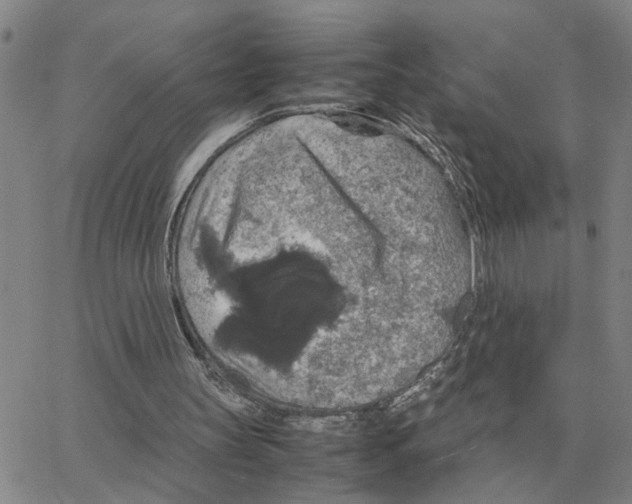 X0000064770147200603131442