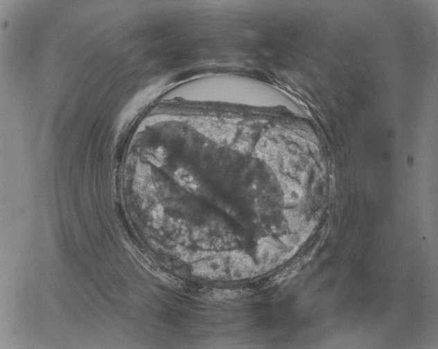 X0000064770149200603131442