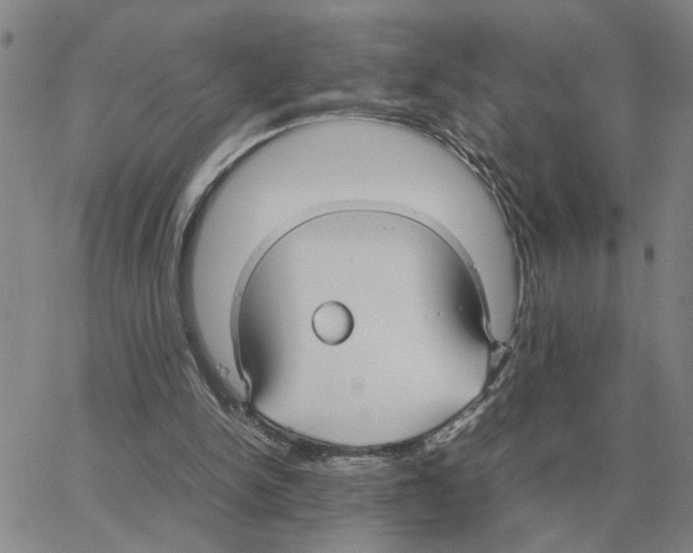 X0000064770150200603131442