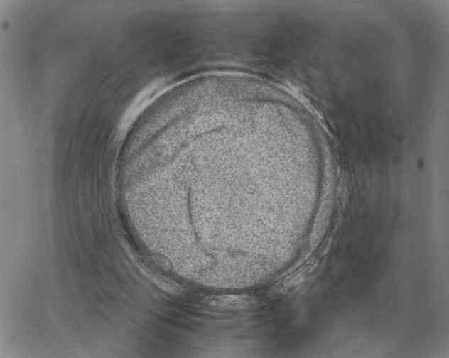 X0000064770151200603131442