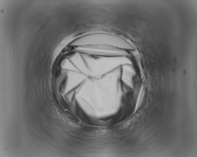 X0000064770152200603131442