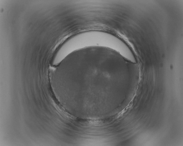 X0000064770154200603131442