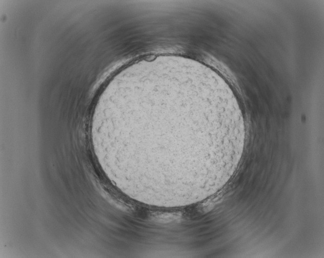 X0000064770155200603131442