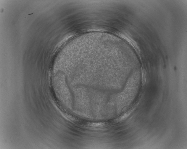 X0000064770157200603131442