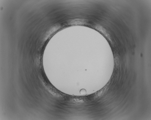 X0000064770159200603131442