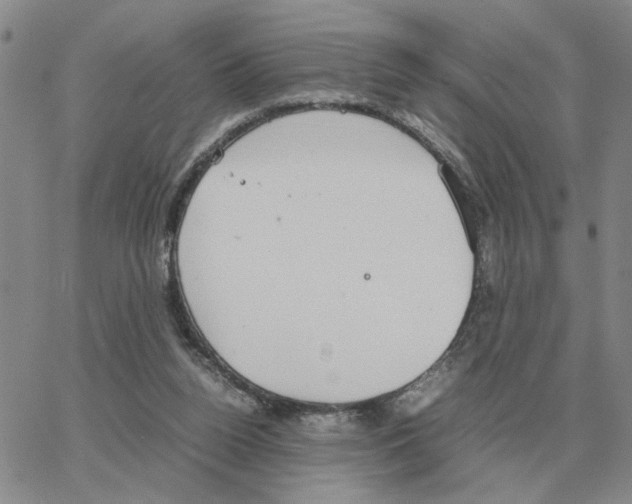 X0000064770160200603131442