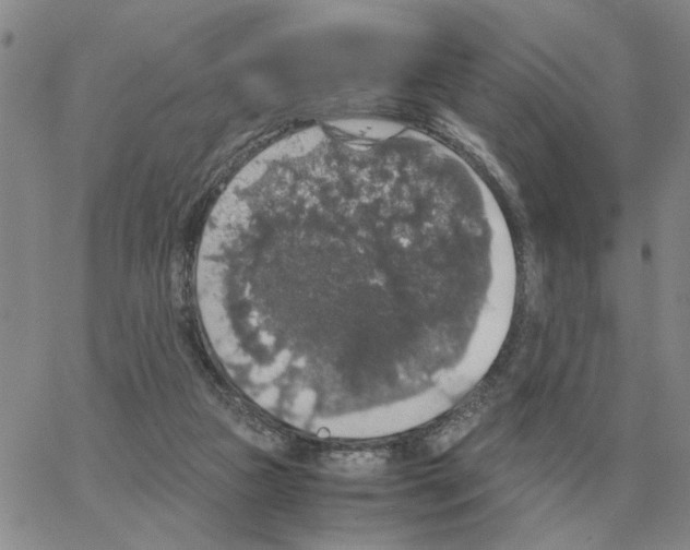 X0000064770161200603131442