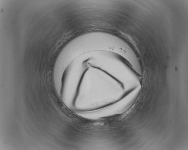 X0000064770162200603131442