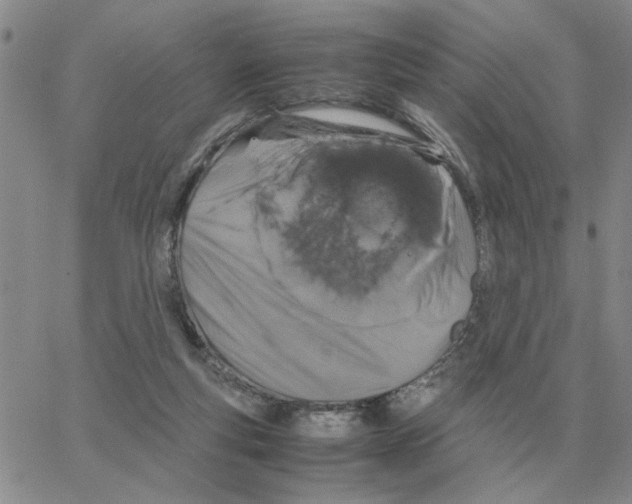 X0000064770163200603131442