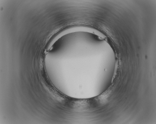 X0000064770164200603131442