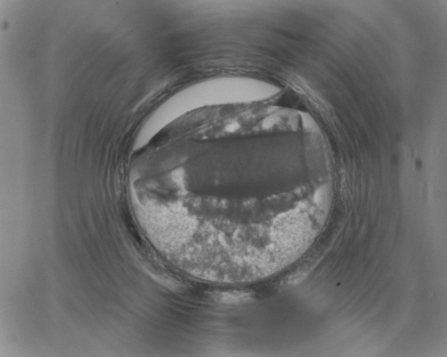 X0000064770165200603131443