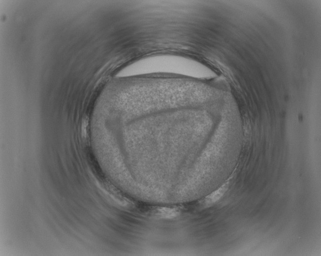 X0000064770166200603131443