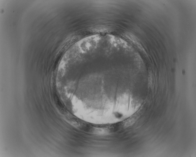 X0000064770167200603131443