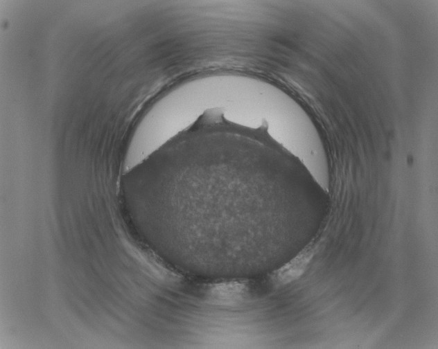 X0000064770168200603131443