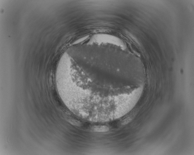 X0000064770169200603131443