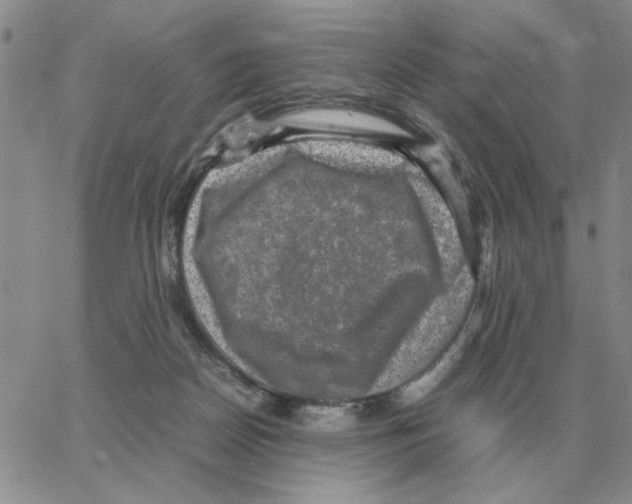 X0000064770170200603131443