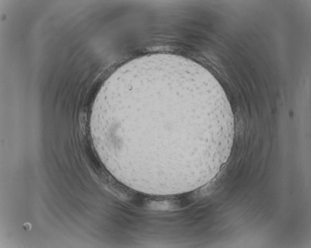 X0000064770171200603131443