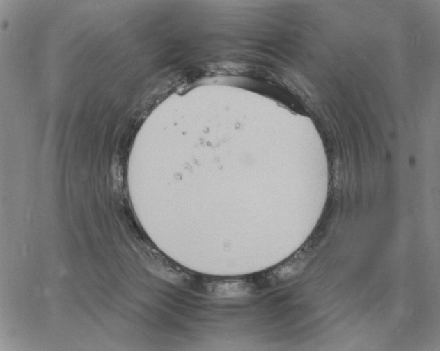 X0000064770173200603131443