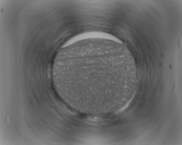 X0000064770174200603131443