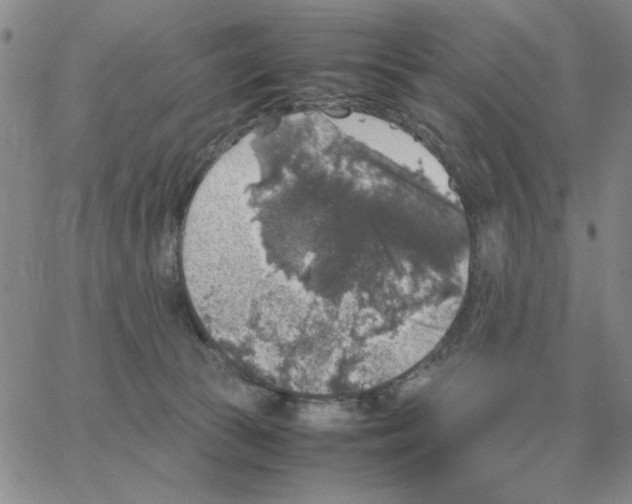 X0000064770177200603131443