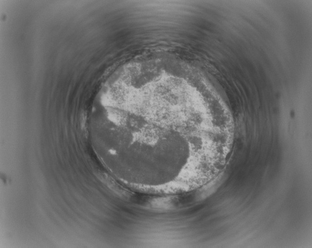 X0000064770178200603131443