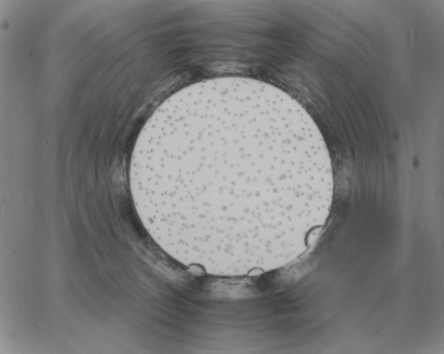 X0000064770179200603131443