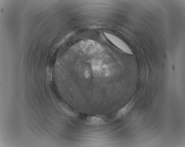 X0000064770180200603131443