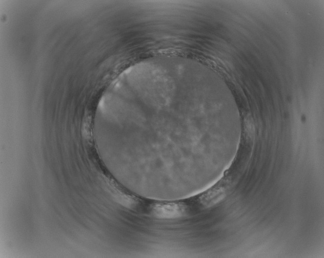 X0000064770181200603131443