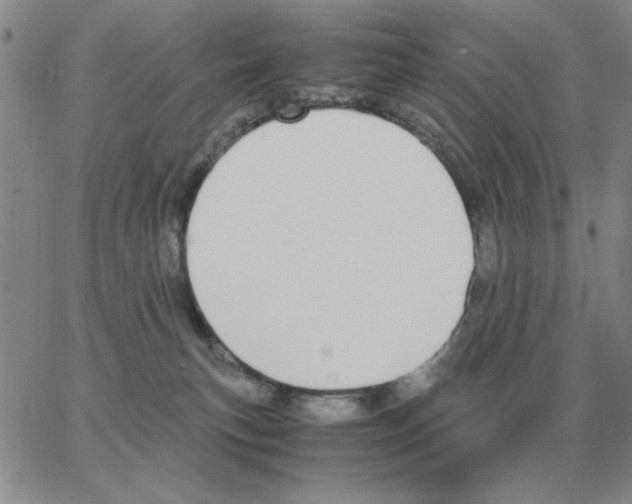 X0000064770183200603131443