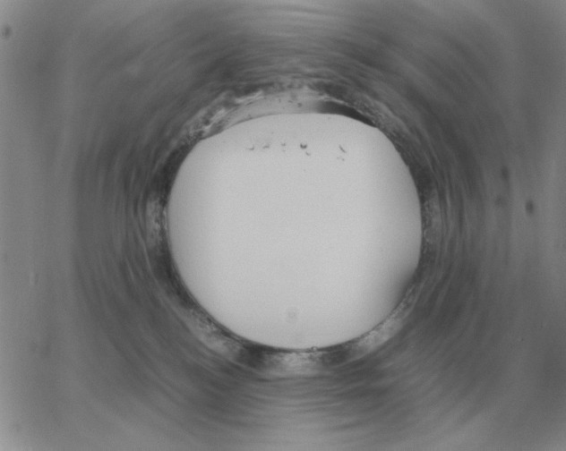 X0000064770184200603131443