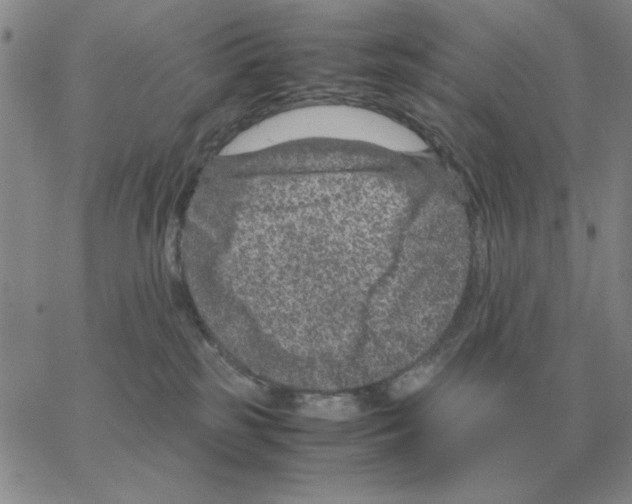 X0000064770185200603131443