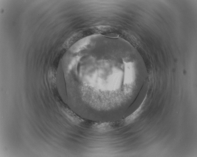 X0000064770186200603131443