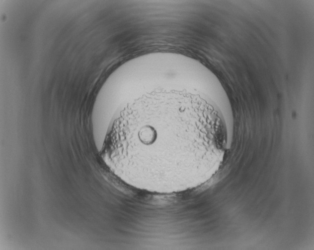 X0000064770188200603131443