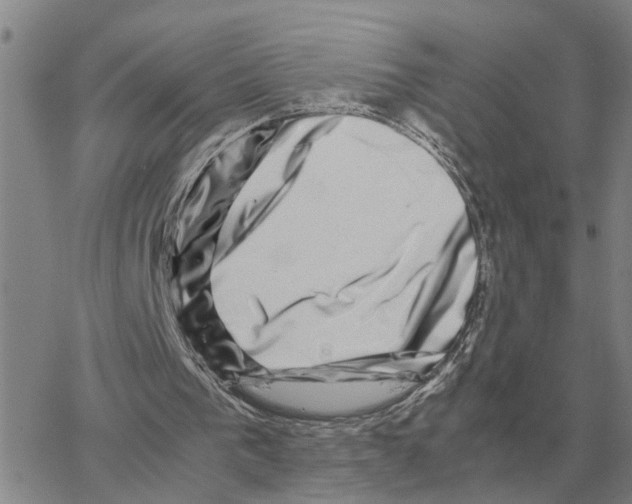 X0000064770193200603131442