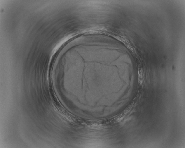 X0000064770196200603131442