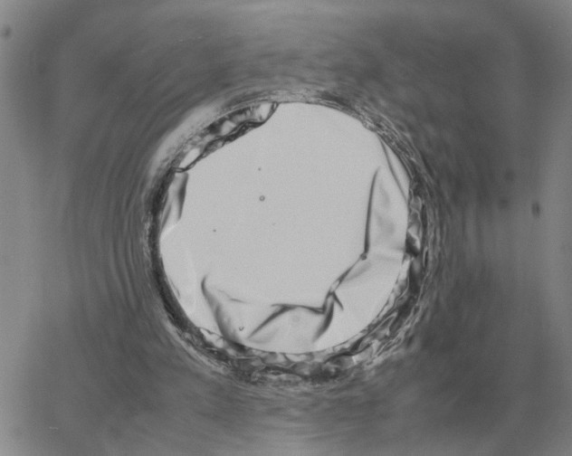 X0000064770197200603131442