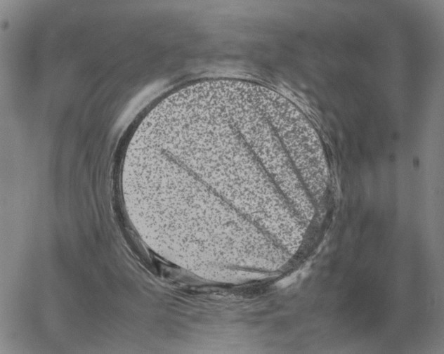 X0000064770199200603131442