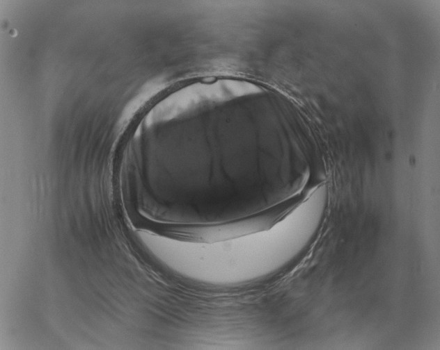 X0000064770200200603131442