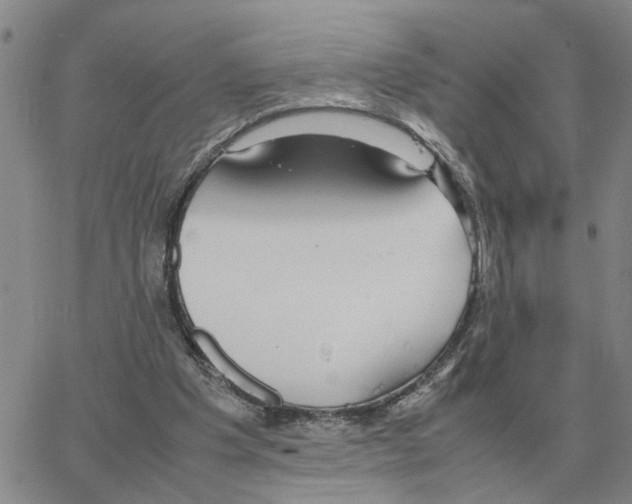 X0000064770201200603131442