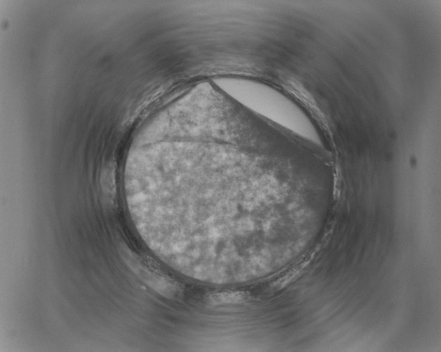 X0000064770202200603131442