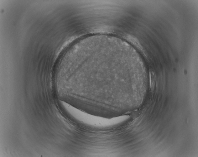 X0000064770204200603131442