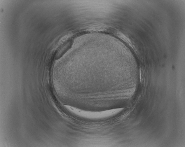 X0000064770205200603131442