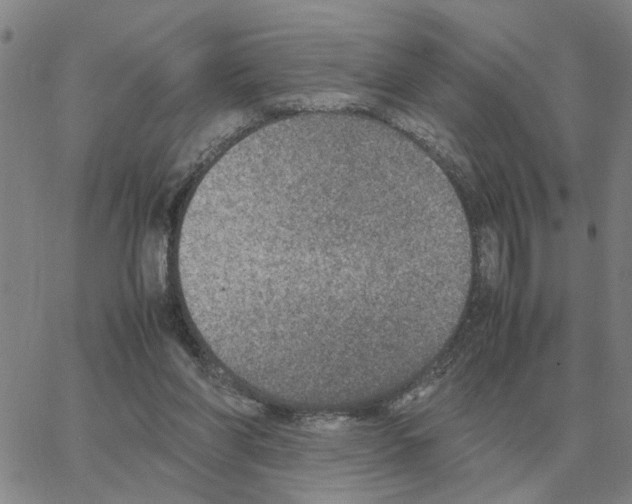 X0000064770206200603131442