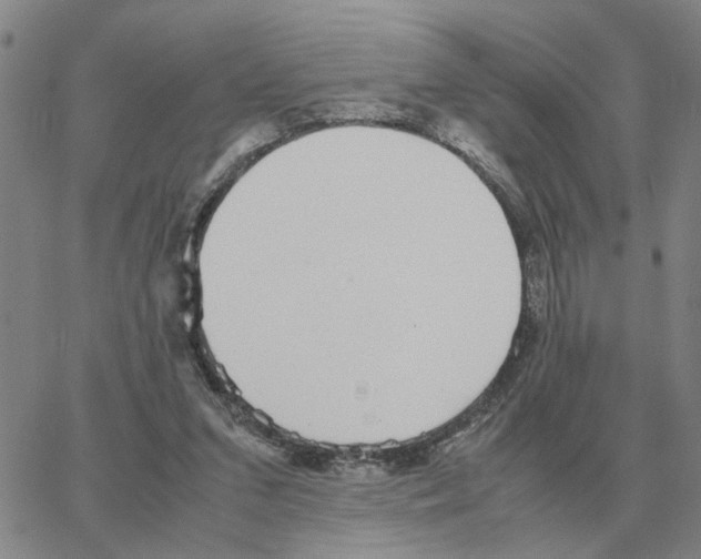 X0000064770207200603131442