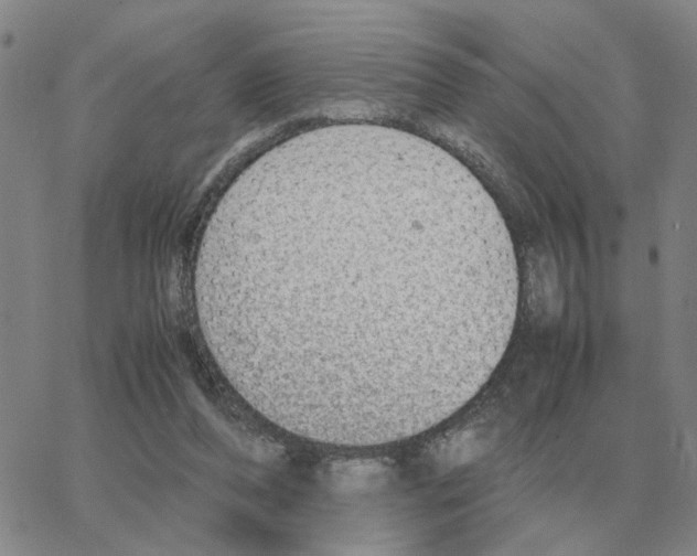 X0000064770208200603131442