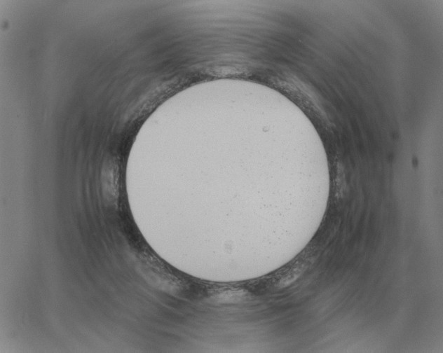 X0000064770210200603131442