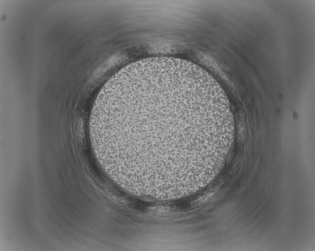 X0000064770211200603131442