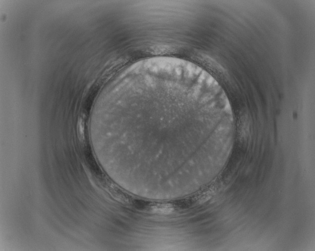 X0000064770214200603131442